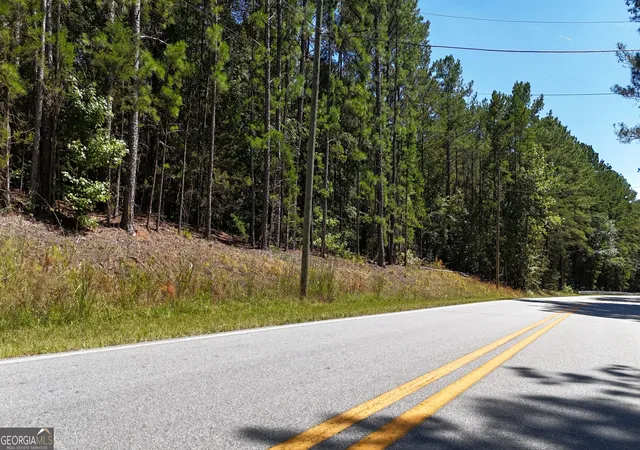 Photo 4 of Land for sale at 0 Ruckersville Rd Crk, Elberton, GA 30635 | MLS# 10832062 | Listing updated on 2026-09-07