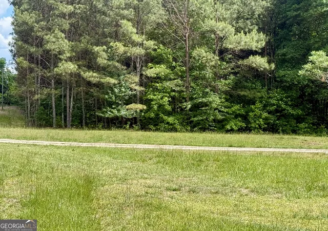 3rd image of 460 Hwy 3 N, Hampton, GA 30228 | MLS# 10764322