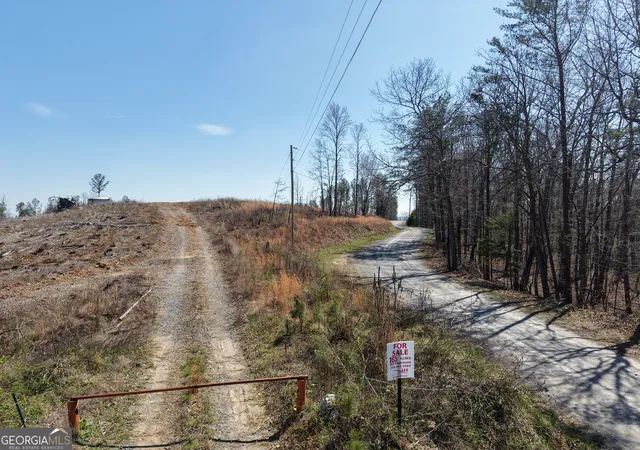 5th image of 0 Angel Rd #7206 PARCEL E, Fairmount, GA 30139 | MLS# 10701442