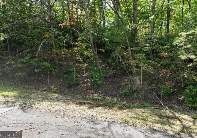 Homes for sale in Ellijay, GA | 123 Edinborough Ct, Ellijay, GA 30536 | MLS# 10786842