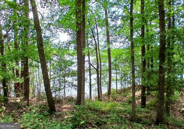 5th image of 548 Old Beacon Light Rd, Hartwell, GA 30643 | MLS# 10795604