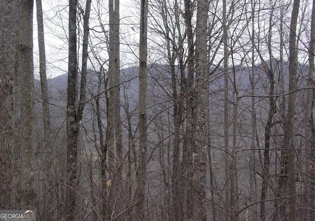 Photo 3 of Land for sale at #17 Roaring Ridge, Hiawassee, GA 30546 | MLS# 10682072 | Listing updated on 2026-02-13