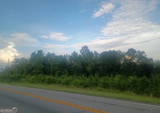 10th image of 0 Abbeville Hwy, Eastman, GA 31023 | MLS# 10783439