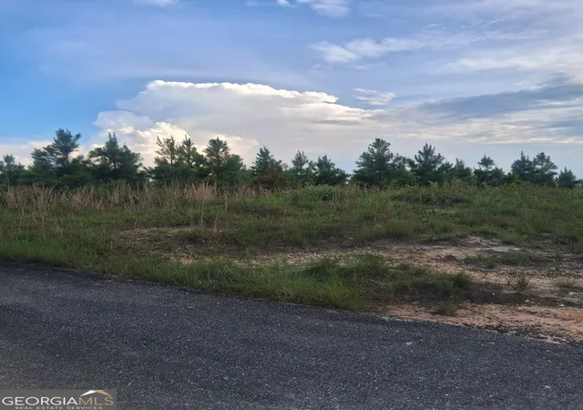 3rd image of 0 Abbeville Hwy, Eastman, GA 31023 | MLS# 10783439
