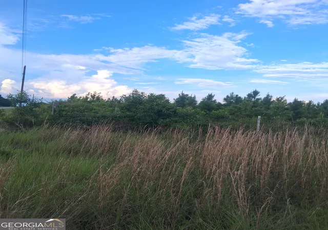4th image of 0 Abbeville Hwy, Eastman, GA 31023 | MLS# 10783439