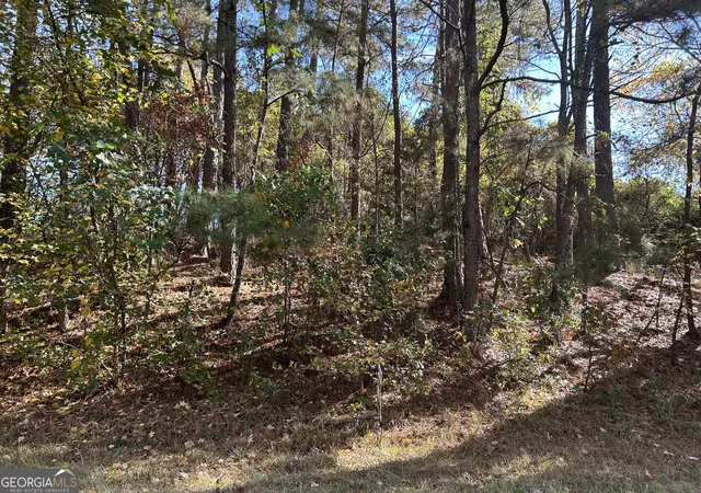 1st image of 2090 Lee Peters Rd, Loganville, GA 30052 | MLS# 10819220