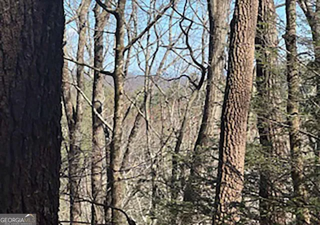 Homes for sale in Cherry Log, GA | Lot 14 Butler Creek Rd, Cherry Log, GA 30522 | MLS# 10713938