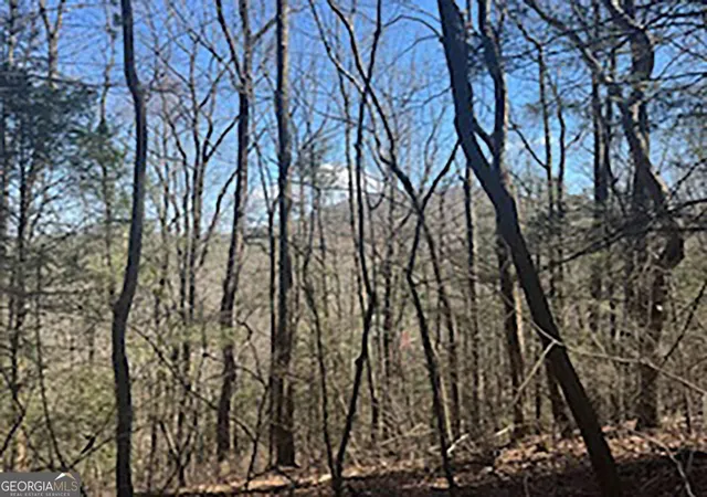 Homes for sale in Cherry Log, GA | Lot 14 Butler Creek Rd, Cherry Log, GA 30522 | MLS# 10713938