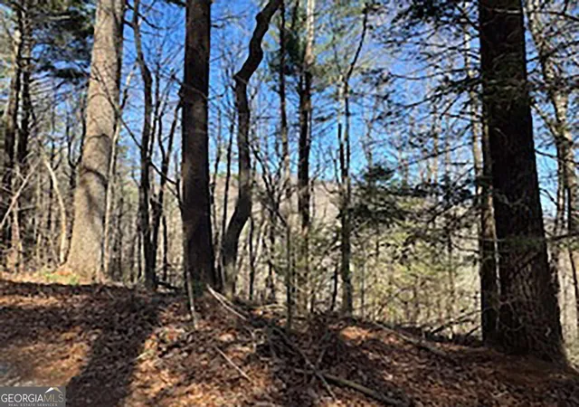 Homes for sale in Cherry Log, GA | Lot 14 Butler Creek Rd, Cherry Log, GA 30522 | MLS# 10713938