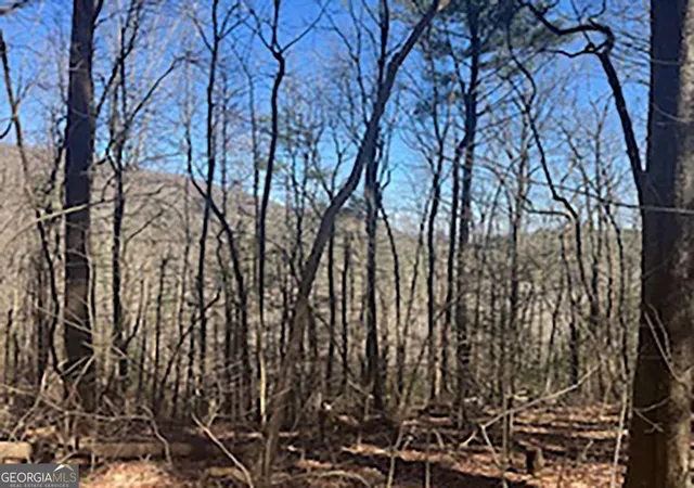 Homes for sale in Cherry Log, GA | Lot 14 Butler Creek Rd, Cherry Log, GA 30522 | MLS# 10713938