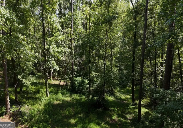 Photo 3 of Land for sale at 115 Lot 101/ Pa Shoal Creek Dr, Sharpsburg, GA 30277 | MLS# 10809088 | Listing updated on 2026-09-20