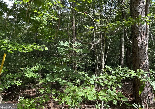 Homes for sale in Wedowee, AL | 0 County Road 329, Wedowee, AL 36278 | MLS# 10792305