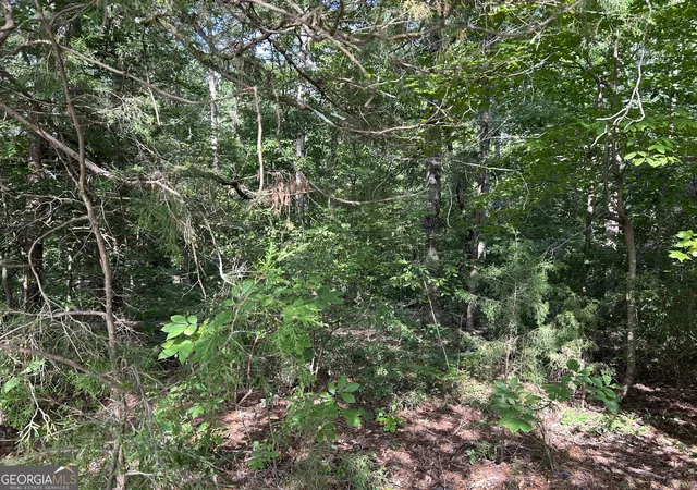 Homes for sale in Wedowee, AL | 0 County Road 329, Wedowee, AL 36278 | MLS# 10792305