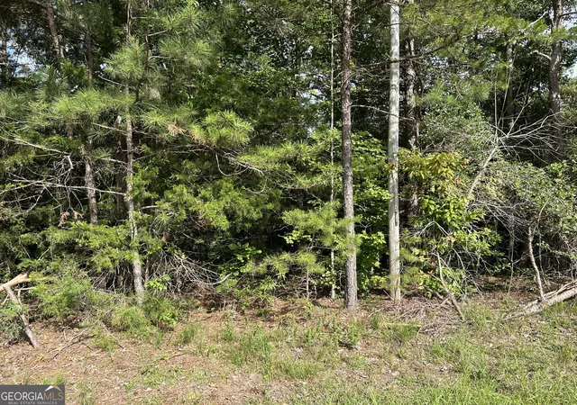 Homes for sale in Wedowee, AL | 0 County Road 329, Wedowee, AL 36278 | MLS# 10792305