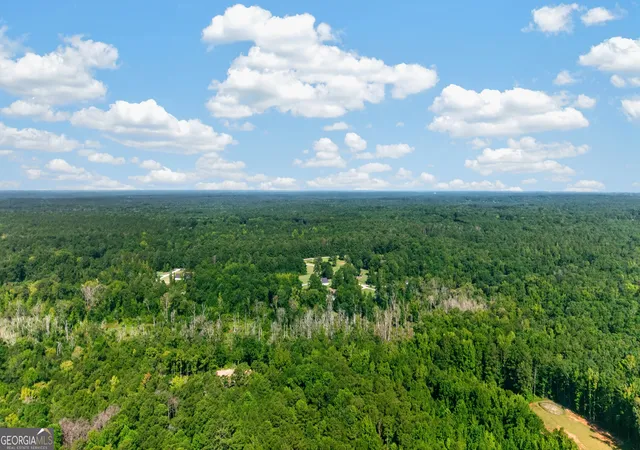 11th image of 212 Todd Rd, Senoia, GA 30276 | MLS# 10828359