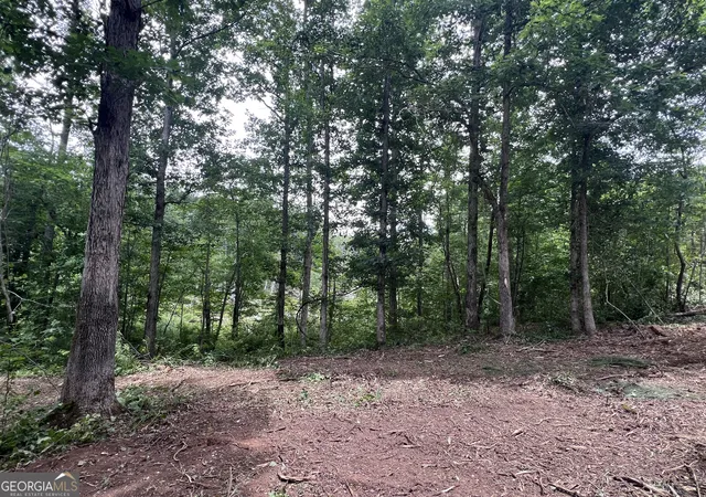 Homes for sale in Grantville, GA | 0 Bethlehem Church Rd, Grantville, GA 30220 | MLS# 10720996