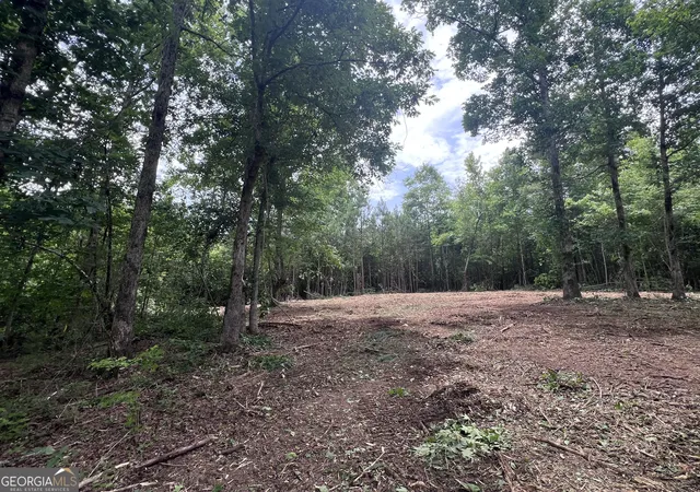 Homes for sale in Grantville, GA | 0 Bethlehem Church Rd, Grantville, GA 30220 | MLS# 10720996