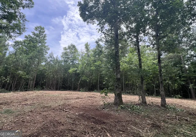 3rd image of 0 Bethlehem Church Rd, Grantville, GA 30220 | MLS# 10720996