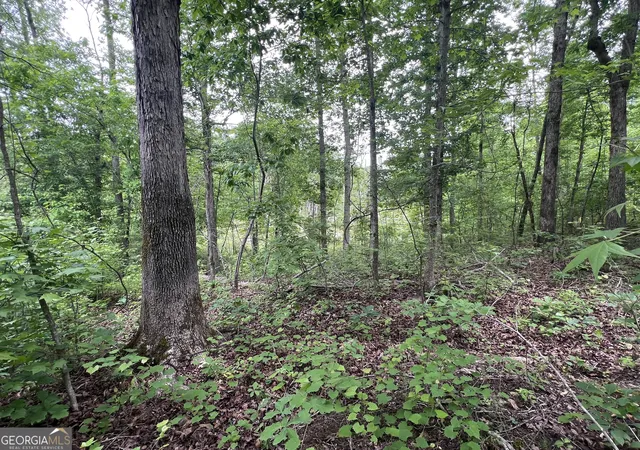 4th image of 0 Bethlehem Church Rd, Grantville, GA 30220 | MLS# 10720996