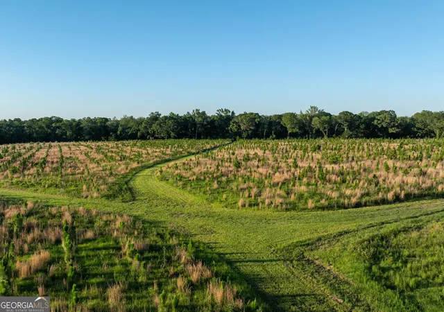 1st image of 006 Beulah Road Tract 6, Sylvania, GA 30467 | MLS# 10738741