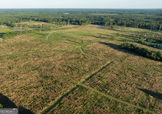 3rd image of 006 Beulah Road Tract 6, Sylvania, GA 30467 | MLS# 10738741