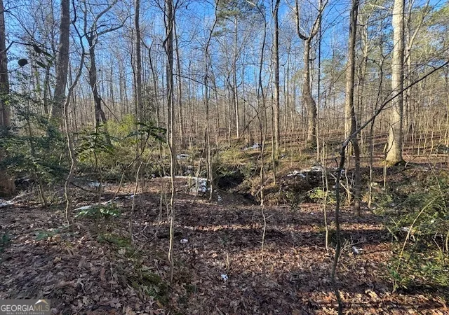 2nd image of 2581 Union Church Rd Sw, Stockbridge, GA 30281 | MLS# 10678696