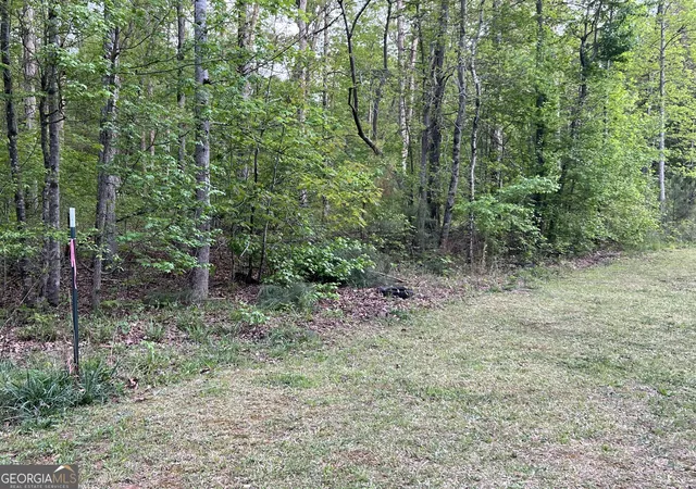 7th image of 0 Goldfinch Dr, Covington, GA 30016 | MLS# 10802450