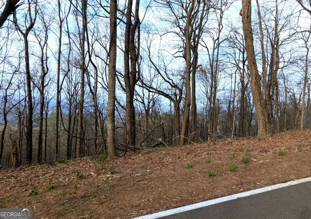 2nd image of 7188 Ridgeview Dr, Jasper, GA 30143 | MLS# 10737516