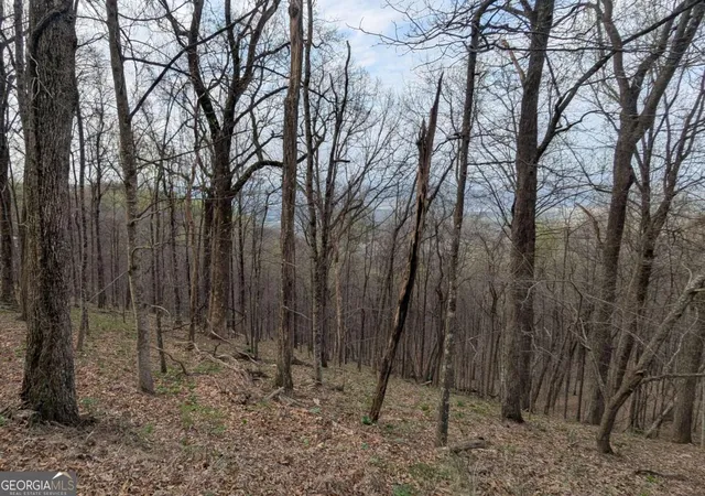 3rd image of 7188 Ridgeview Dr, Jasper, GA 30143 | MLS# 10737516