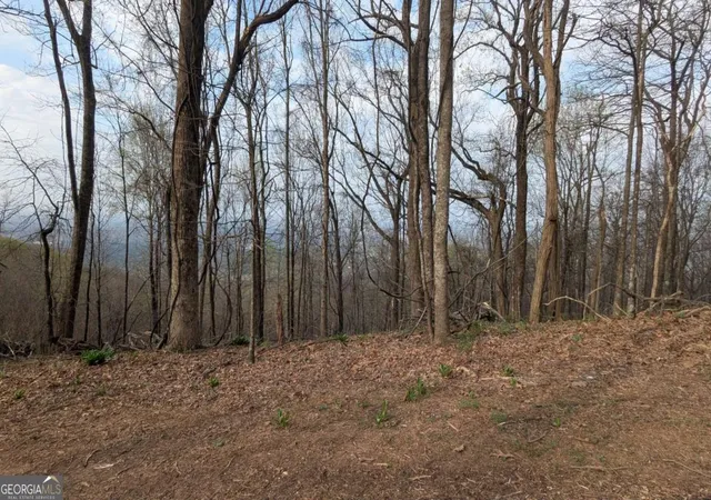 5th image of 7188 Ridgeview Dr, Jasper, GA 30143 | MLS# 10737516