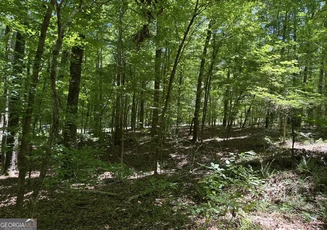 Photo 3 of Land for sale at 541 S Steel Brg Rd, Eatonton, GA 31024 | MLS# 10778767 | Listing updated on 2026-07-05