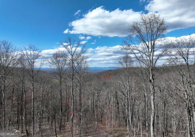 Photo 1 of Land for sale at 270r Stone Cliff Dr, Ellijay, GA 30536 | MLS# 10786423 | Listing updated on 2026-10-25