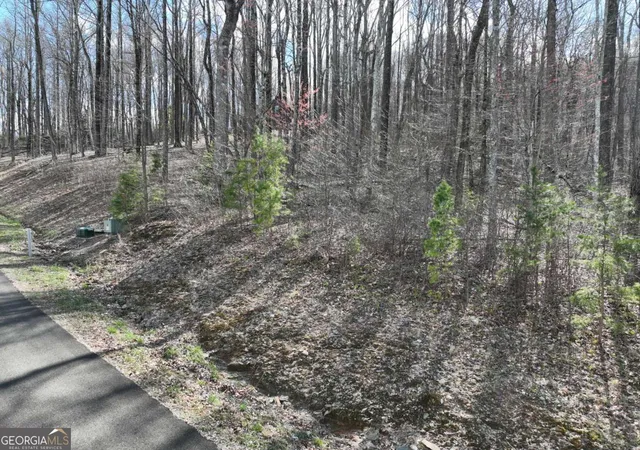 Photo 4 of Land for sale at 270r Stone Cliff Dr, Ellijay, GA 30536 | MLS# 10786423 | Listing updated on 2026-10-25