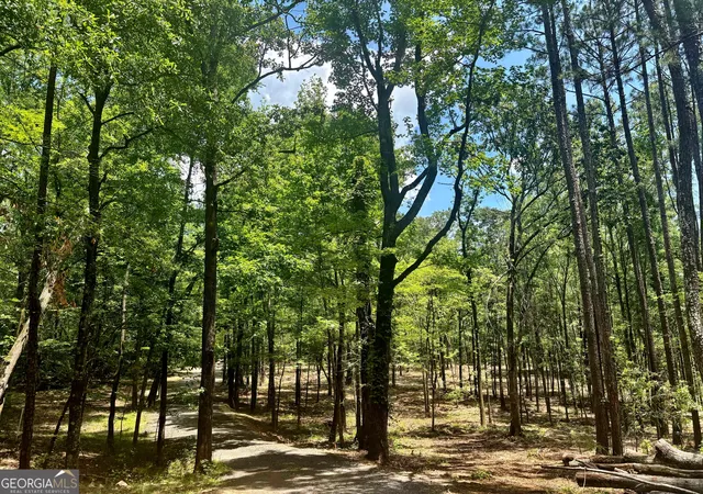 3rd image of 1301 Johnson Rd, Macon, GA 31220 | MLS# 10786709