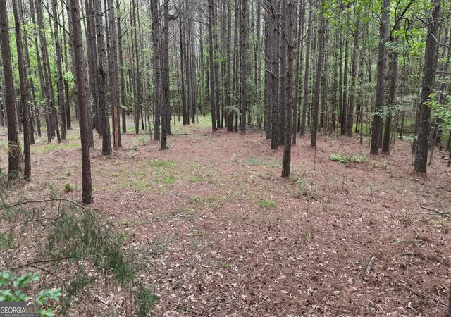 3rd image of 0 Plantation Rd, Madison, GA 30650 | MLS# 10730665