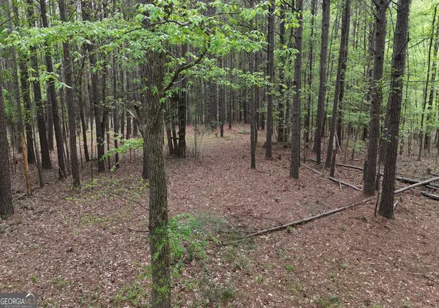 4th image of 0 Plantation Rd, Madison, GA 30650 | MLS# 10730665