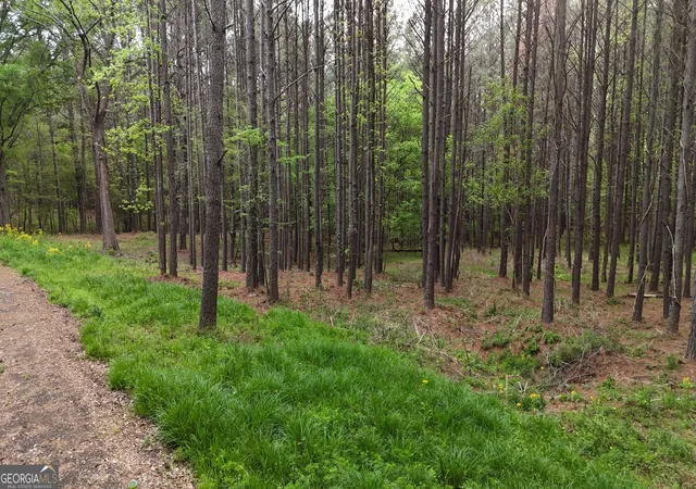 5th image of 0 Plantation Rd, Madison, GA 30650 | MLS# 10730665