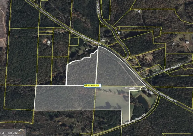 36th image of 0 County Road 19, Heflin, AL 36264 | MLS# 10802960