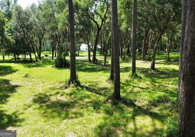 Photo 1 of Land for sale at 0 Sutherland Blf Dr, Townsend, GA 31331 | MLS# 10809164 | Listing updated on 2026-08-03