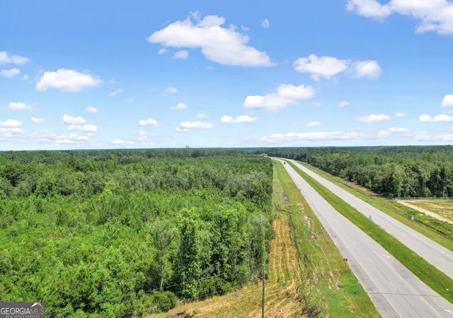 22nd image of 0 Hwy 301   N Palm Street, Jesup, GA 31546 | MLS# 10798022