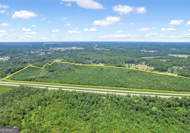 3rd image of 0 Hwy 301 - N Palm Street, Jesup, GA 31546 | MLS# 10798022