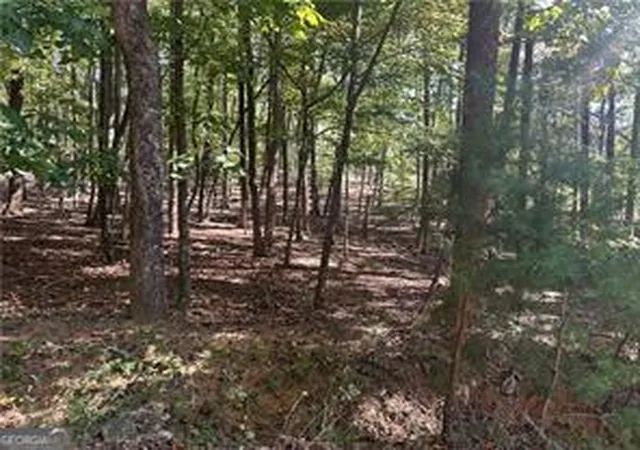 Land for sale at Lt1351 Willow Ter #1351, Jasper, GA 30143 | MLS# 10667074