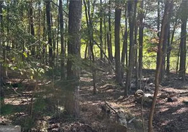 Photo 2 of Land for sale at Lt1351 Willow Ter #1351, Jasper, GA 30143 | MLS# 10667074 | Listing updated on 2026-10-09