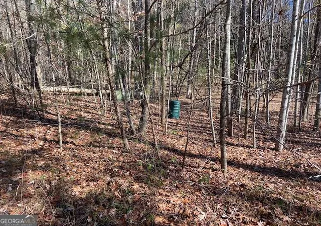 Photo 3 of Land for sale at 8 Cameron Point, Cleveland, GA 30528 | MLS# 10758530 | Listing updated on 2026-09-24