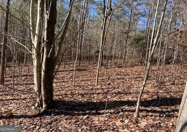 Photo 3 of Land for sale at 8 Cameron Point, Cleveland, GA 30528 | MLS# 10758530 | Listing updated on 2026-09-24