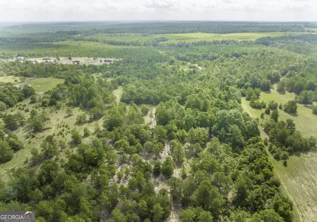 4th image of 0 Georgia Rd, Butler, GA 31006 | MLS# 10809409