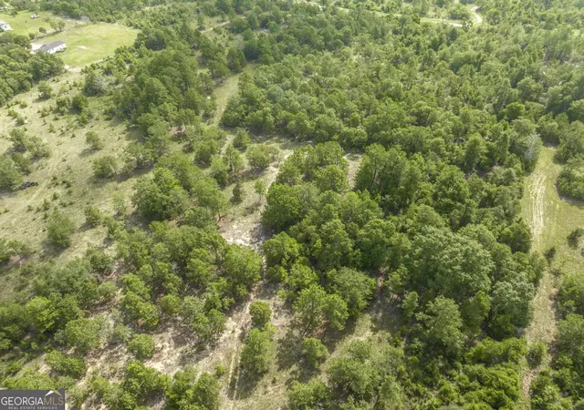 5th image of 0 Georgia Rd, Butler, GA 31006 | MLS# 10809409