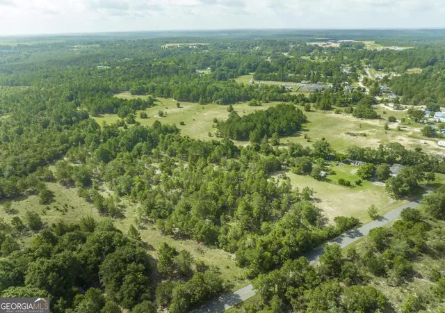 8th image of 0 Georgia Rd, Butler, GA 31006 | MLS# 10809409