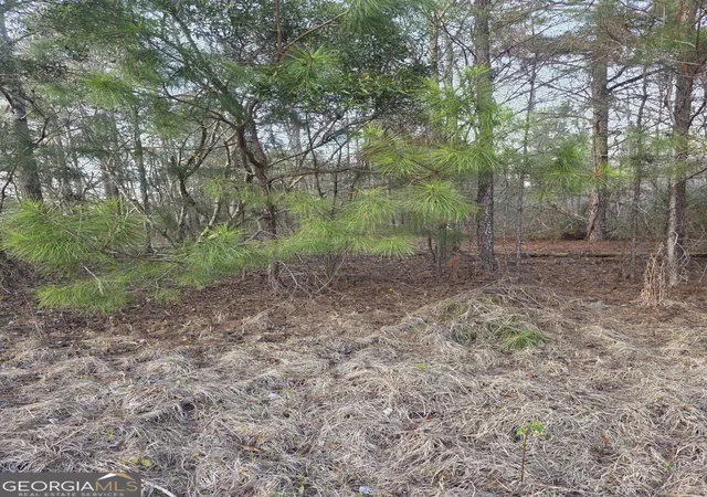 5th image of 0 Perkins Greenfork Rd, Millen, GA 30442 | MLS# 10835564