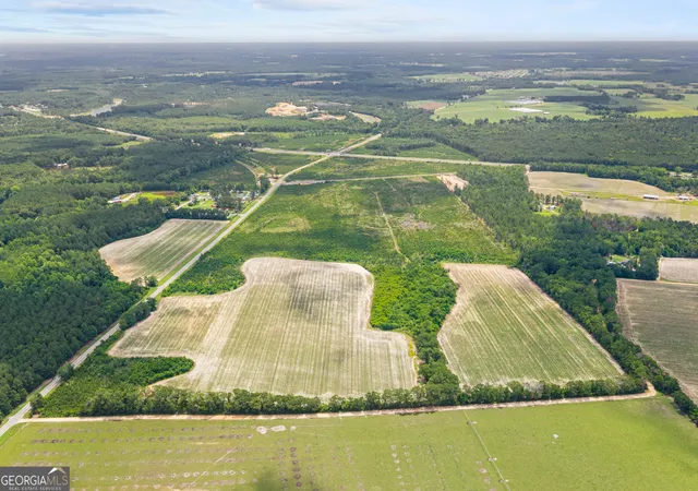 Photo 3 of Land for sale at 0 Highway 46, Register, GA 30452 | MLS# 10798234 | Listing updated on 2026-07-16